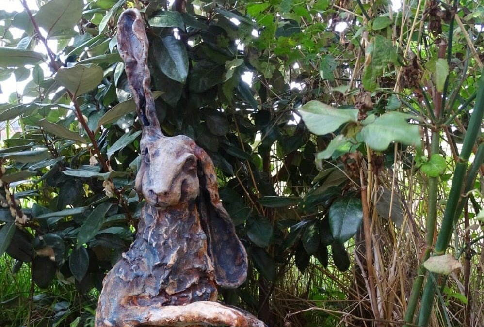 Online workshop boetseren: Een Haas in 8 lessen