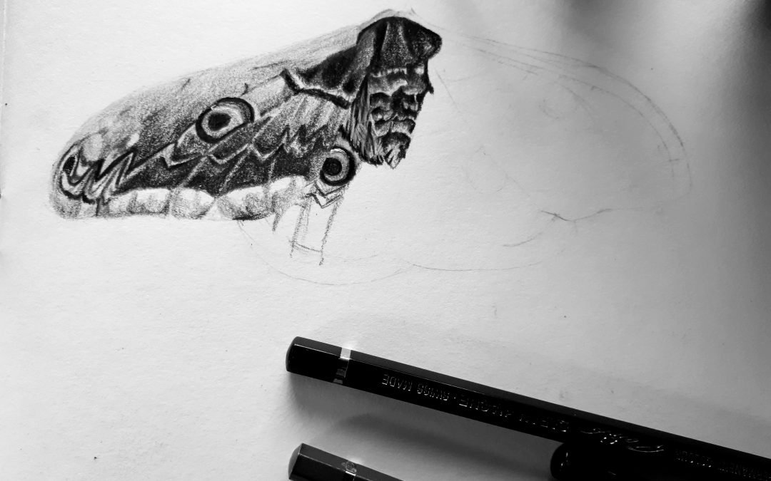 Cursus basistechnieken tekenen